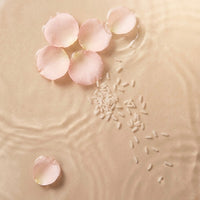 Fermented Rice & Rosewater Glow Cleanser